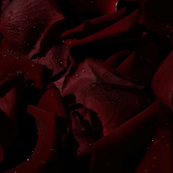 Bundle for Ally - Picture 1 of 16